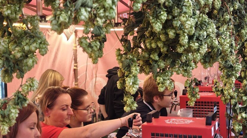 Kultowe Chmielaki za nami – święto piwoszy w Krasnymstawie