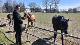 Wójt w stadninie koni 