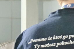 Szare, bure i pstrokate. Koci herosi z lubelskiego schroniska szukają kochających domów