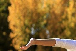 Czyste powietrze i zdrowie w Twoim domu dzięki tego urządzenia