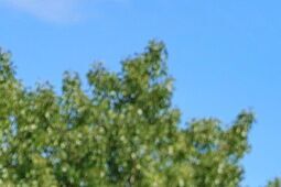 Zawyły syreny, zapłonęły znicze. Mieszkańcy Lublina pamiętają