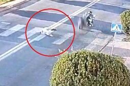 Na przejściu: 84-latka potrącona przez motocyklistę