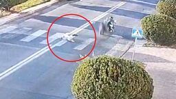 Na przejściu: 84-latka potrącona przez motocyklistę