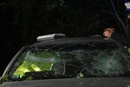 Chciała ominąć sarnę, ale przez to dachowała autem