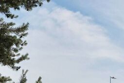 Przy Castoramie powstanie kolejny sklep. Inwestor dostał już kredyt