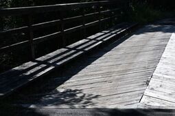 Nie przejdziesz i nie przejedziesz. Most na leśnej drodze zamknięty na miesiąc