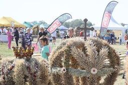 Dziękują za obfite plony. Sprawdź, kiedy w twoim regionie odbędą się dożynki