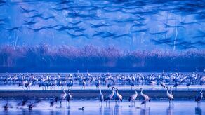 Najpiękniejsze z pięknych. Oto zdjęcia nagrodzone na ogólnopolskim przeglądzie