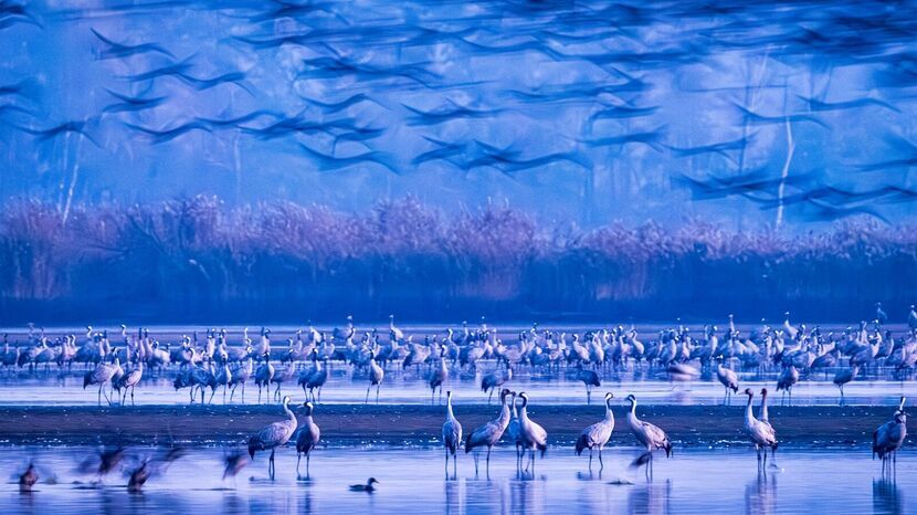 Najpiękniejsze z pięknych. Oto zdjęcia nagrodzone na ogólnopolskim przeglądzie