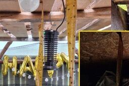 Mieszkańcy walczą z plagą much. Chcą zamknięcia zakładu przy Turystycznej