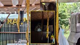 Mieszkańcy walczą z plagą much. Chcą zamknięcia zakładu przy Turystycznej