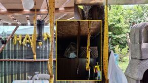 Mieszkańcy walczą z plagą much. Chcą zamknięcia zakładu przy Turystycznej