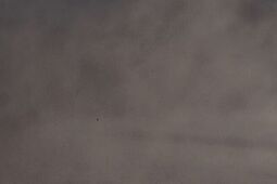 Młodzież poszła w ślady seniorów. Motor Lublin rozgromił Falubaz Zielona Góra w ramach U24 Ekstraligi