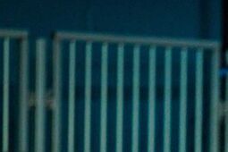 Rakiety do tenisa Tecnifibre – sprzęt, który zaskakuje… pozytywnie