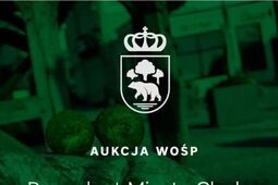 Spacer, który utknął w kalendarzu. 1660 zł za krok, którego nikt nie postawił