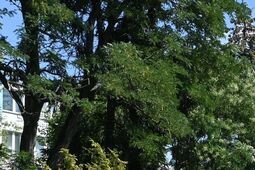 Drogowcy na Piłsudskiego. Jest remont, będą utrudnienia