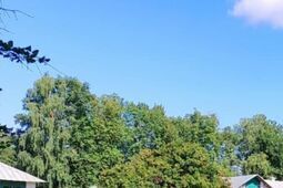 Szejkowie z Bliskiego Wschodu znów chcą kupować konie z Janowa Podlaskiego