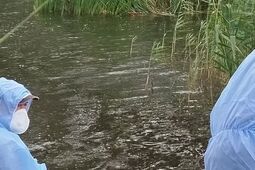 Trucizna w Uherce: Ścieki, śnięte ryby i śledztwo prokuratury