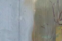 Trzeba "ochrzcić" tego malucha. Imię wybiorą internauci