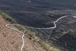 Żniwa w pełni. Pożary wybuchają dzień w dzień