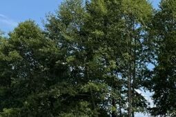 Do relaksu, ale nie kąpieli. Zbiornik retencyjny oficjalnie otwarty