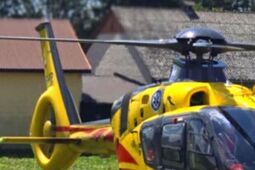 Dramat w gminie Rejowiec. Czteroletnia dziewczynka walczy o życie po ataku psa