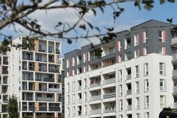 Ruszyły żniwa na Jantarowej w Lublinie. Być może już ostatnie