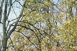 Bezpłatne badania piersi na wyciągnięcie ręki. Gdzie i kiedy przyjedzie mammobus?