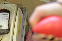 Krew się poleje w wiejskiej świetlicy. Akcja w tę niedzielę