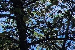 „Zielone patio” powstanie przy Szkole Podstawowej nr 18 w Lublinie