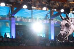 Pride of Poland 2025. "Odbudowa zasobu najważniejsza, bo doszło do rabunkowej wyprzedaży"