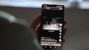 Incydent z dronem w Osinach. MSZ podaje, skąd mógł nadlecieć