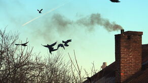 Zdjęcie ilustracyjne