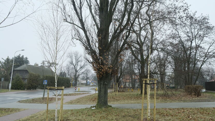 Park w jesiennym anturażu