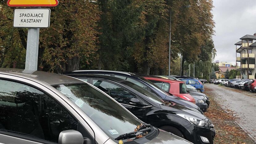 Ulica Kiepury w Zamościu. Teraz parkowanie jest tutaj darmowe, ale gdyby pomysł ZDG został zaakceptowany przez radnych, obowiązywałyby w tym miejscu takie same opłaty jak strefie C