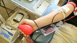 Banki krwi świecą pustkami. Lekarze biją na alarm 