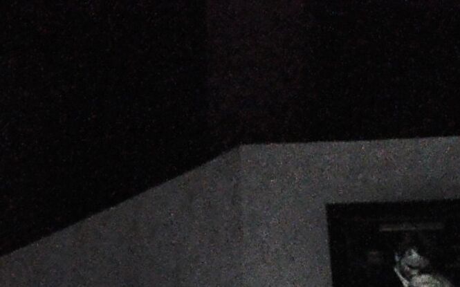 Bilety tańsze niż ulgowe. Święto kina w CKF stylowy