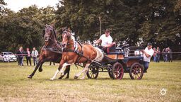 Święto Konia w Sitnie odbędzie się w tym roku po raz piąty