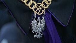 Koniec procesu w sprawie nieodpowiedniego transportu tygrysów. Wyrok dla organizatora i kierowcy