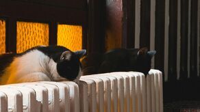 Bon ciepłowniczy i zamrożenie cen prądu do końca roku. Sejm przegłosował