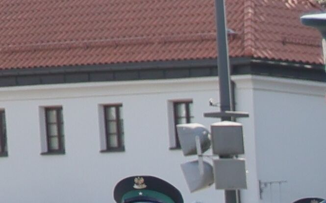 Niedźwiedź w centrum Lublina, czyli Dzień Krajowej Administracji Skarbowej