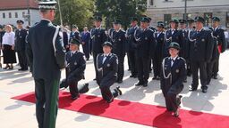 Niedźwiedź w centrum Lublina, czyli Dzień Krajowej Administracji Skarbowej