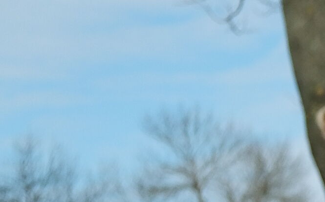 Nowy rok akademicki z kilkoma zmianami. Będą mLegitymacje studenckie