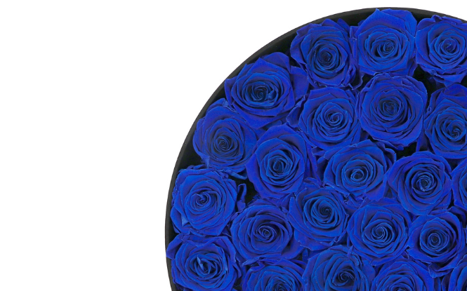 Niebieskie róże – kwiaty, które zaskakują