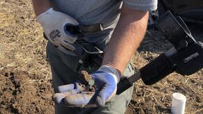 Skarb na ornym polu. Poszukiwacz wykopał około 5 tysięcy monet