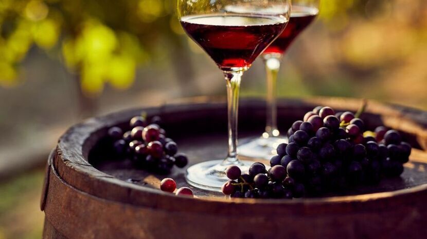 Biało Czerwone Winobranie. Zamek w Janowcu zaprasza na weekend