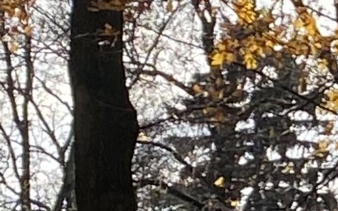 Czas chryzantem i spokoju. Jak Lublin przygotowuje się do Dnia Wszystkich Świętych