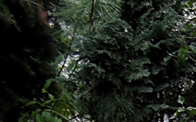 Rymarska po metamorfozie. Kolejne ulice czekają na podobną zmianę