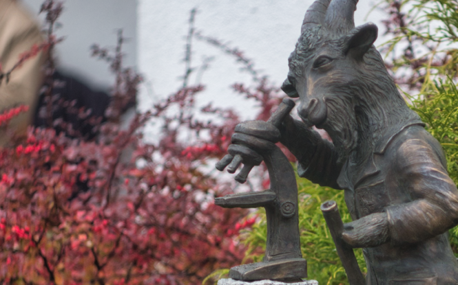 Diagnosta z mikroskopem - koziołek-badacz pojawił się w Lublinie