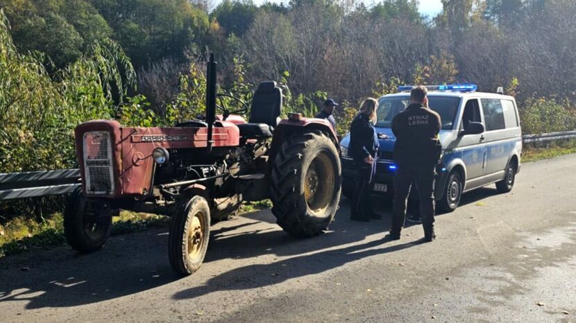 Nielegalna wycinka i traktor na gazie. Leśny patrol miał pełne ręce roboty